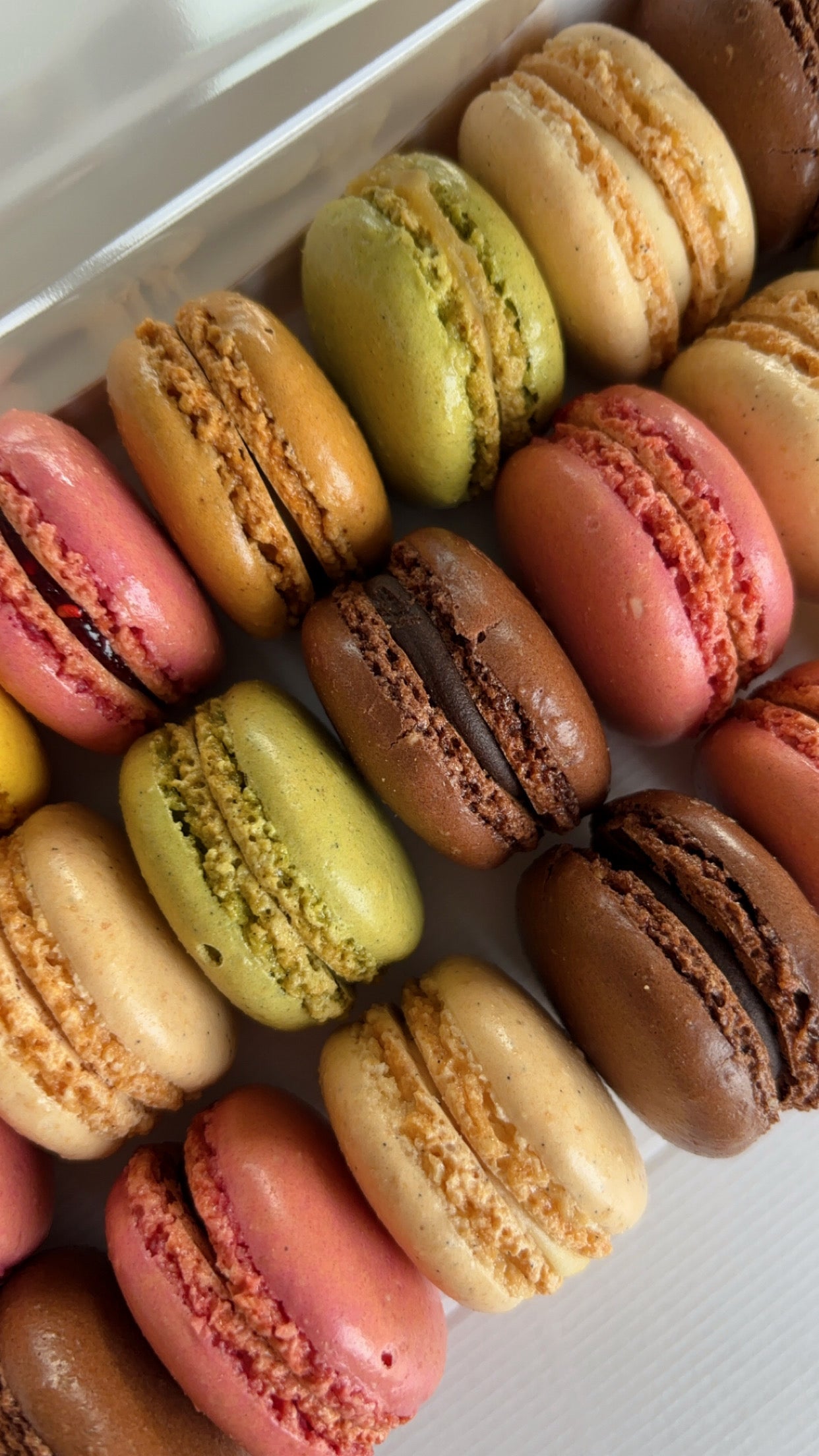 Box 20 macarons